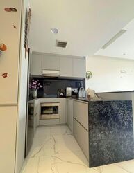 The Lilium (D19), Condominium #530888591